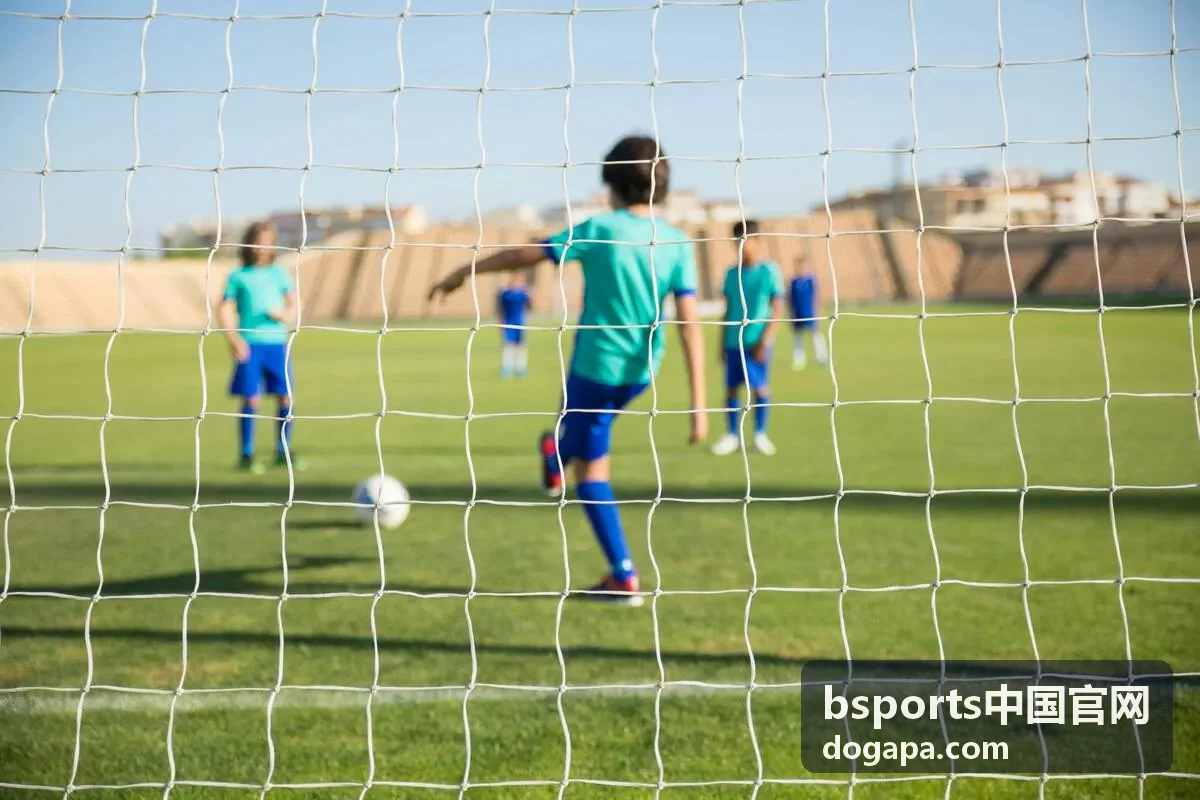 bsports客户端界面截图