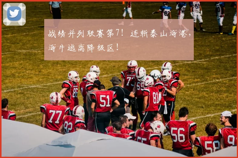 战绩并列联赛第7！连斩泰山海港，海牛逃离降级区！
