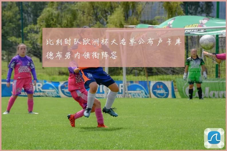 比利时队欧洲杯大名单公布卢卡库德布劳内领衔阵容