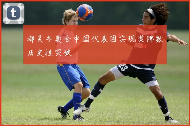 都灵冬奥会中国代表团实现奖牌数历史性突破